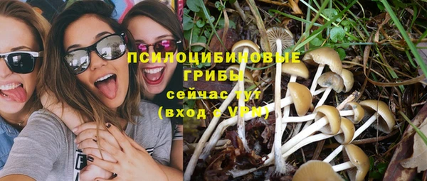 мяу мяу мука Карпинск