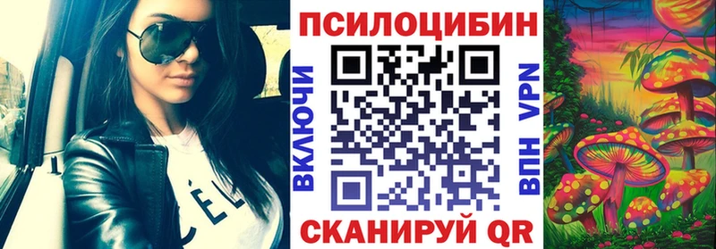 Купить где  Устюжна  Псилоцибиновые грибы мухоморы 